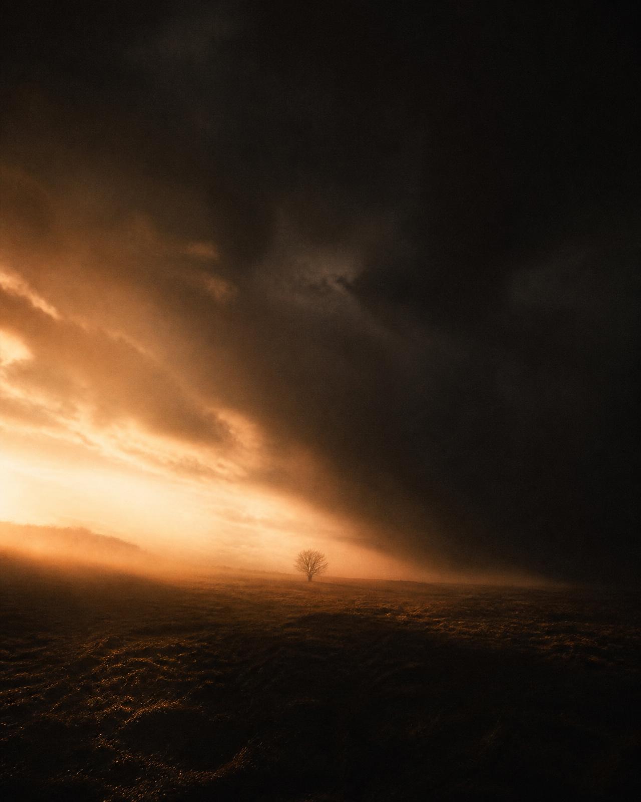Resilience Through Loss — cinematic artwork